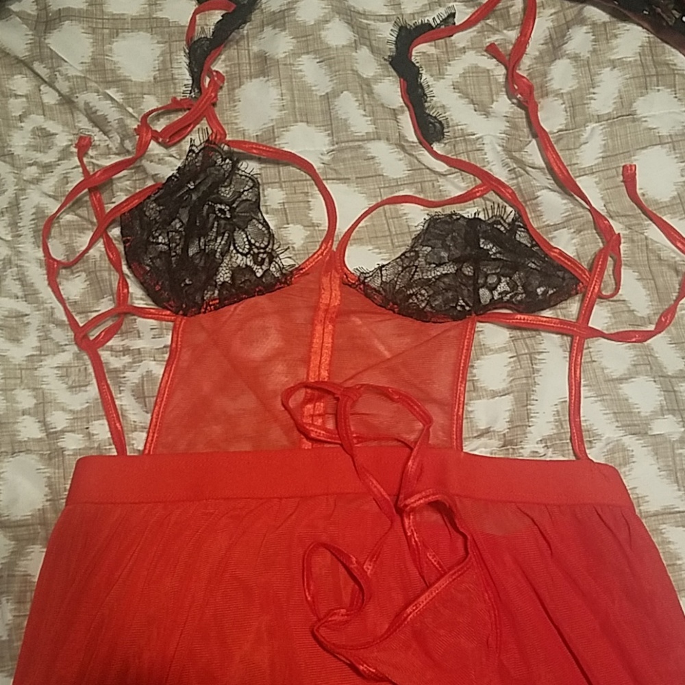 Red teddy